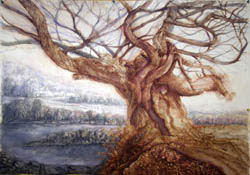 The Oberon Tree 2010